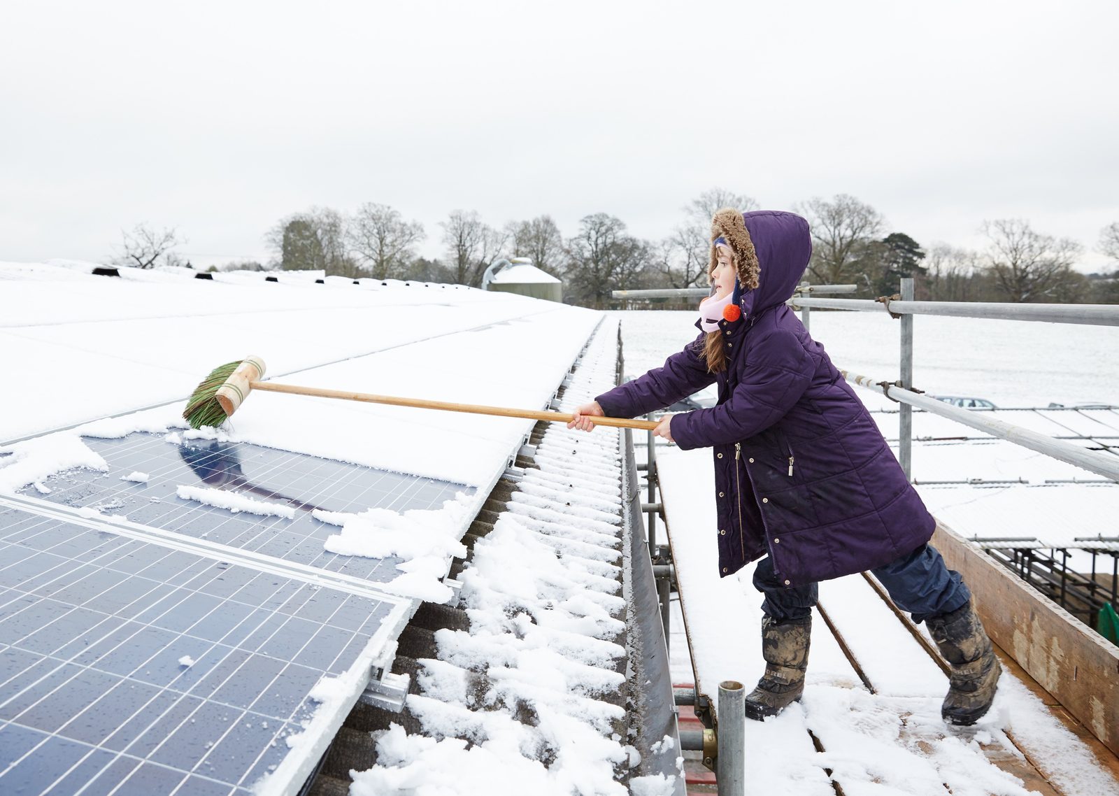 Clearing snow from solar panels with a long-handled soft brush