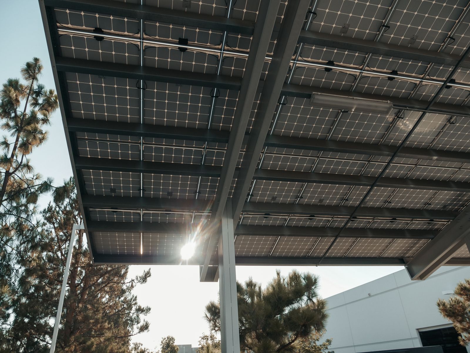 Low-angle view of solar panels with sunlight shining through
